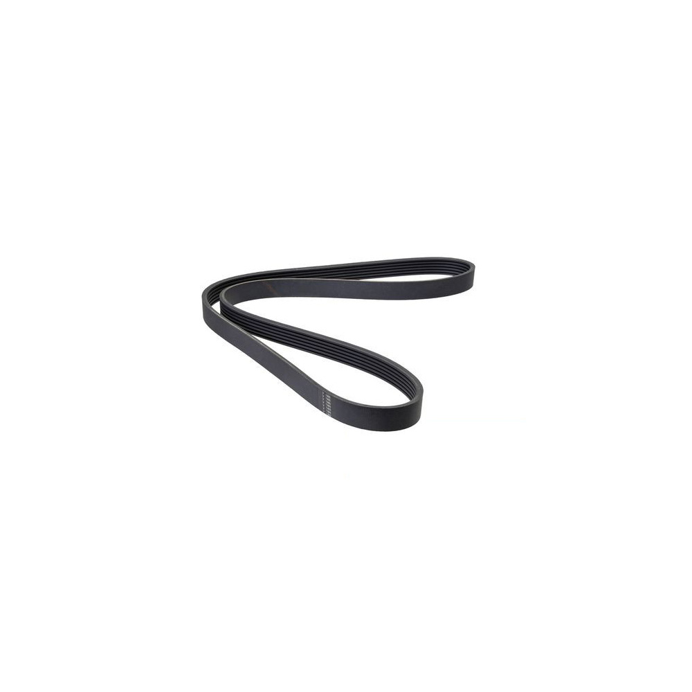 image_5ba91fb35d787_cinghia-poly-v-fiat-kia-toyota Cinghia Poly V, Poly V Belt (938K5) - immagine 1