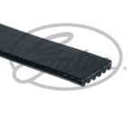 Cinghia Distribuzione - Gates 6PK1019SF - immagine 2